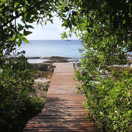 Confortable Casa En Cozumel, Condominio Con Vista Al Mar # 10 Kültér fotó